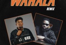 Tenny Eddy – Wahala (Remix) Ft. Magnito