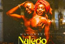 Mavokali – Nalego